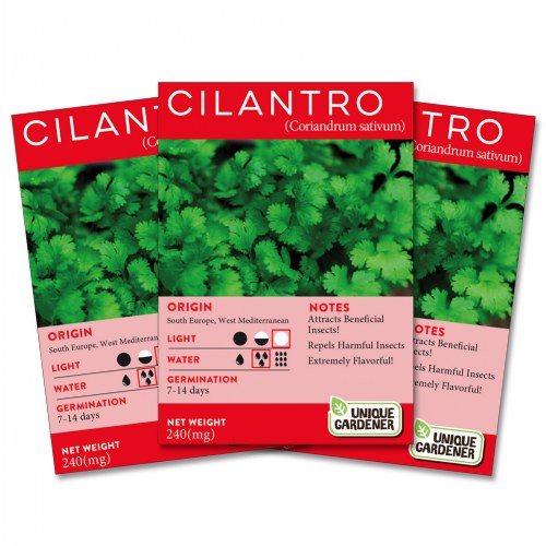 Cilantro Seeds 3-Pack