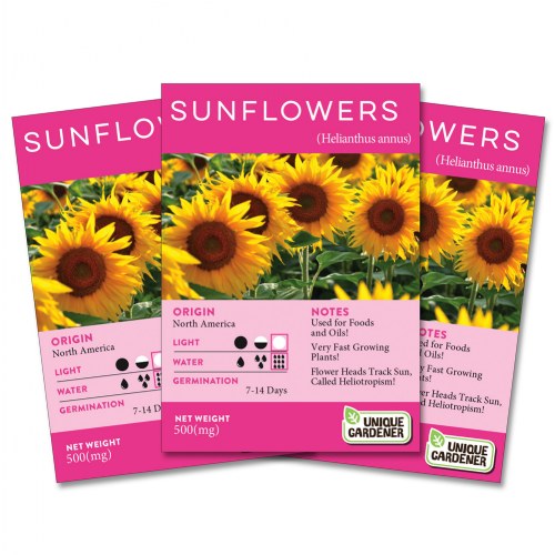 Dwarf Sunflower Seeds 3-Pack