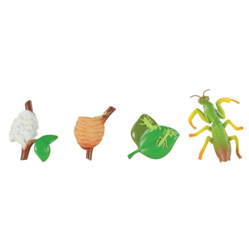 Life Cycle Figurines - 24 Pieces