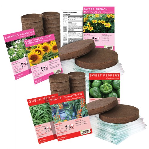 Growing Flowers and Plants Classroom Kits