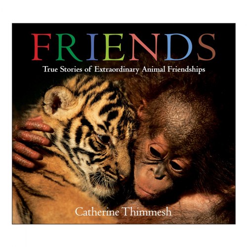Friends: True Stories of Extraordinary Animal Friendships -  Board Book