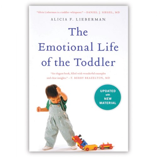 Emotional Life of a Toddler Socioemotional Tips for Little Ones - Paperback