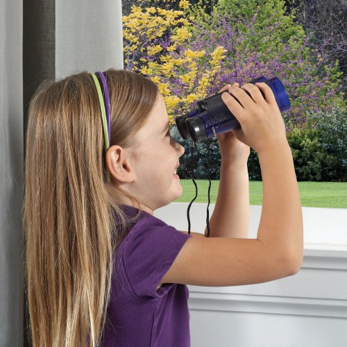 Play Science Starter Kit With Activity Cards