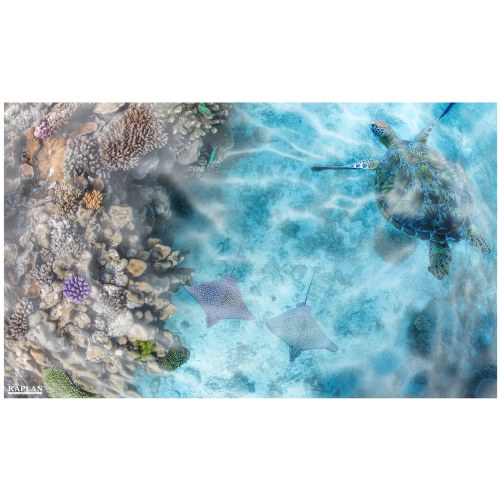 Aquarium Flotex® Hygienic Rug - 5' x 3' Rectangle