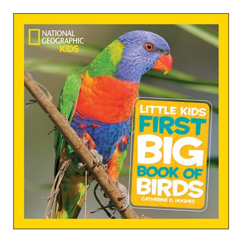 First Book of Birds - Hardcover