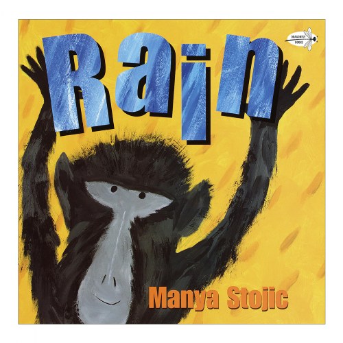 Rain - Paperback