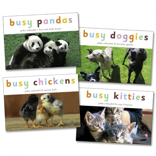 Busy Animals Board Books - Set of 4