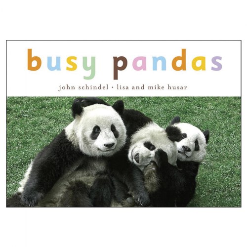 Busy Pandas - Board Book