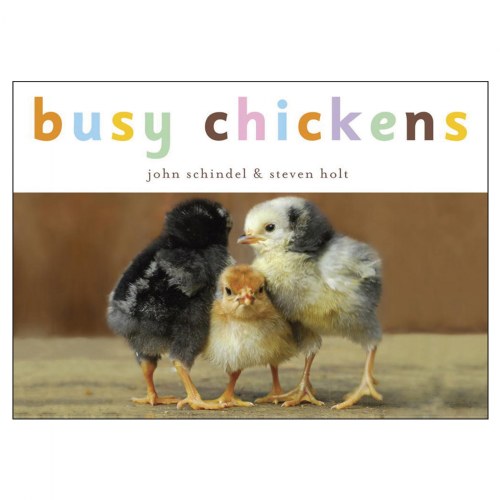 Busy Chickens - Board Book