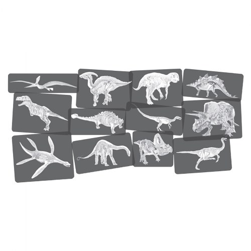 Dinosaur Picture Cards & X-Rays