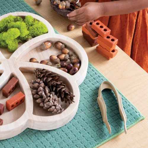 AllWeather Jumbo Tweezers Set of 6