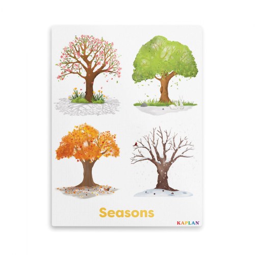 Seasons Giclee Classroom Wall Print
