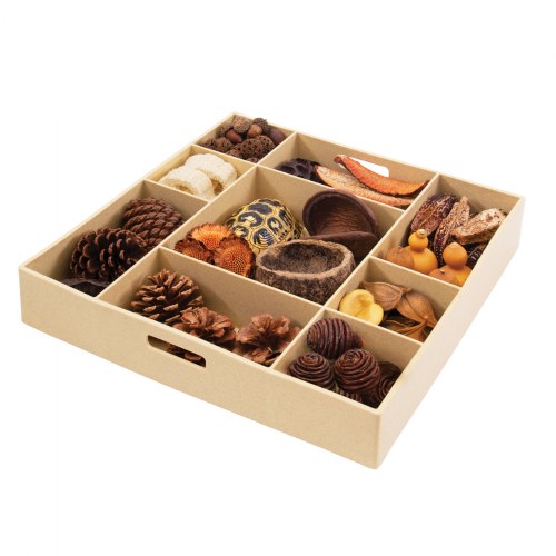 Nature's Geometry: Loose Parts STEM Kit