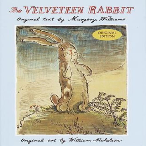 Velveteen Rabbit Plush and Hardback Book