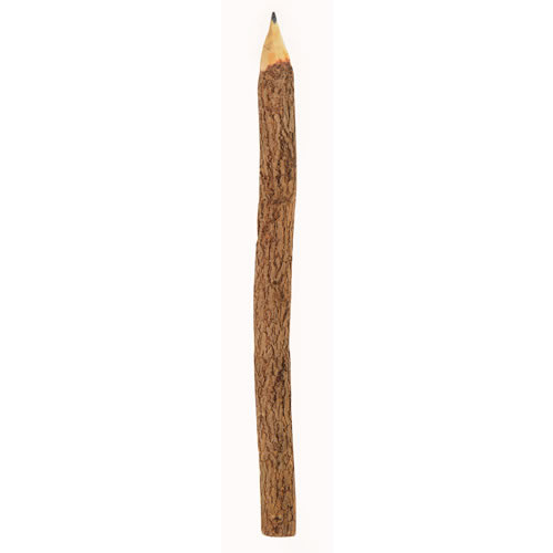 Twig Pencils - Set of 12