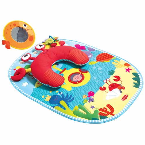 tummy fun mat