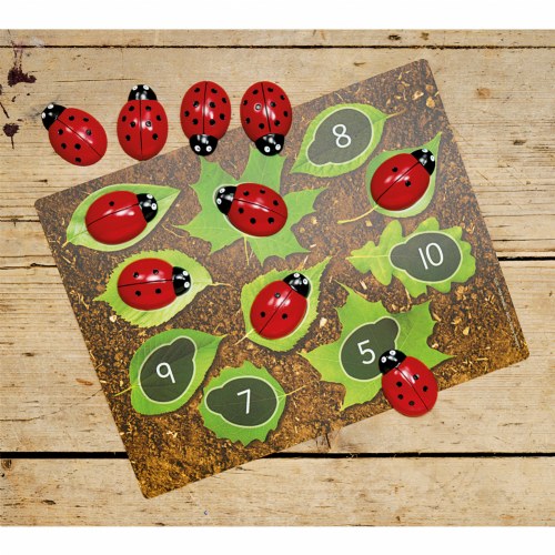 Ladybug Stones with Activity Cards