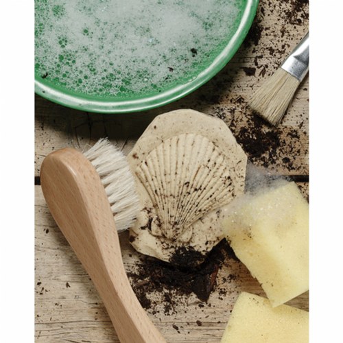 How To Play Fossils And Archeology