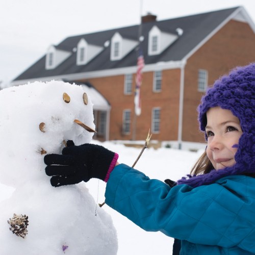 Natural Loose Parts Starter Kit