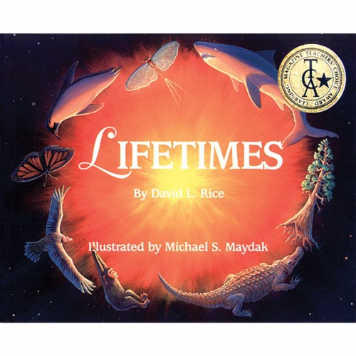 Lifetimes - Paperback