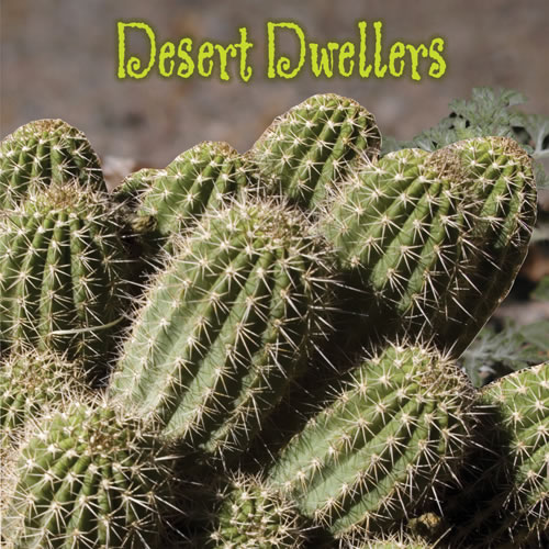 Desert Dwellers - Board Book