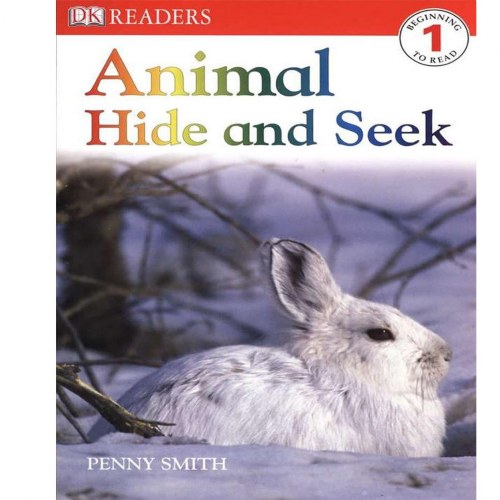 Animal Hide & Seek - Paperback