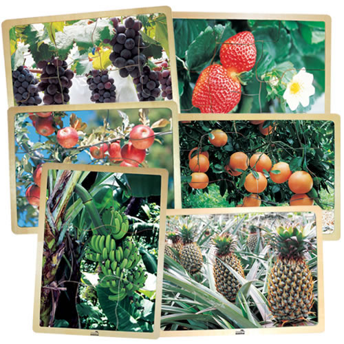 Fresh Fruits Puzzles - Set of 6
