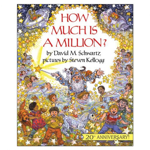 How Much Is a Million? by David M. Schwartz