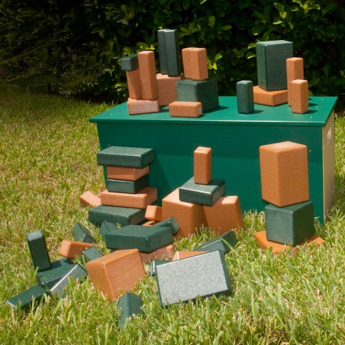 Block Box Blocks and Sorter - Set of 50
