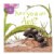 Alternate Image #1 of Backyard Books - Set of 8