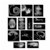 Alternate Image #1 of Transparent Animal X-Rays and Pictures