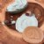 Alternate Image #5 of Let's Investigate - Nature - Set of 8 Stones