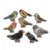 Main Image of Sensory Play Stones: Birds - 8 Pieces