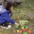 Alternate Image #1 of Sensory Play Stones: Leaves - 12 Pieces