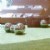 Alternate Image #4 of Sensory Reflective Balls - Set of 4