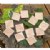 Alternate Image #1 of Sensory Leaf Tiles - Set of 12