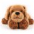 Main Image of Theo the Therapy Dog