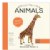 Alternate Image #1 of Words of the World Board Books - Set of 4