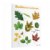 Alternate Image #2 of Deciduous Leaves Giclee Classroom Wall Print