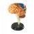 Alternate Image #1 of Brain Anatomy Realistic Model