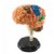 Main Image of Brain Anatomy Realistic Model