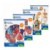 Alternate Image #3 of Human Anatomy Models Set - Includes Brain, Heart, Body and Skeleton