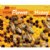 Alternate Image #1 of Learn with Me Science Books - Set of 5