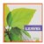 Alternate Image #2 of Let's Take a Walk and Explore Nature Books - Set of 6