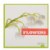 Alternate Image #3 of Let's Take a Walk and Explore Nature Books - Set of 6