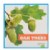 Alternate Image #5 of Let's Take a Walk and Explore Nature Books - Set of 6