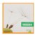 Alternate Image #6 of Let's Take a Walk and Explore Nature Books - Set of 6