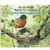 Alternate Image #1 of Bilingual Science Books on Birds, Mammals, Insects and Reptiles - Set of 4