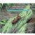Alternate Image #3 of Bilingual Science Books - Set of 4