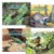 Main Image of Bilingual Science Books on Birds, Mammals, Insects and Reptiles - Set of 4